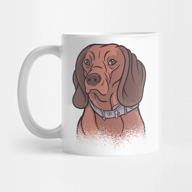 Wise Old Dachshund Dog by BamBam